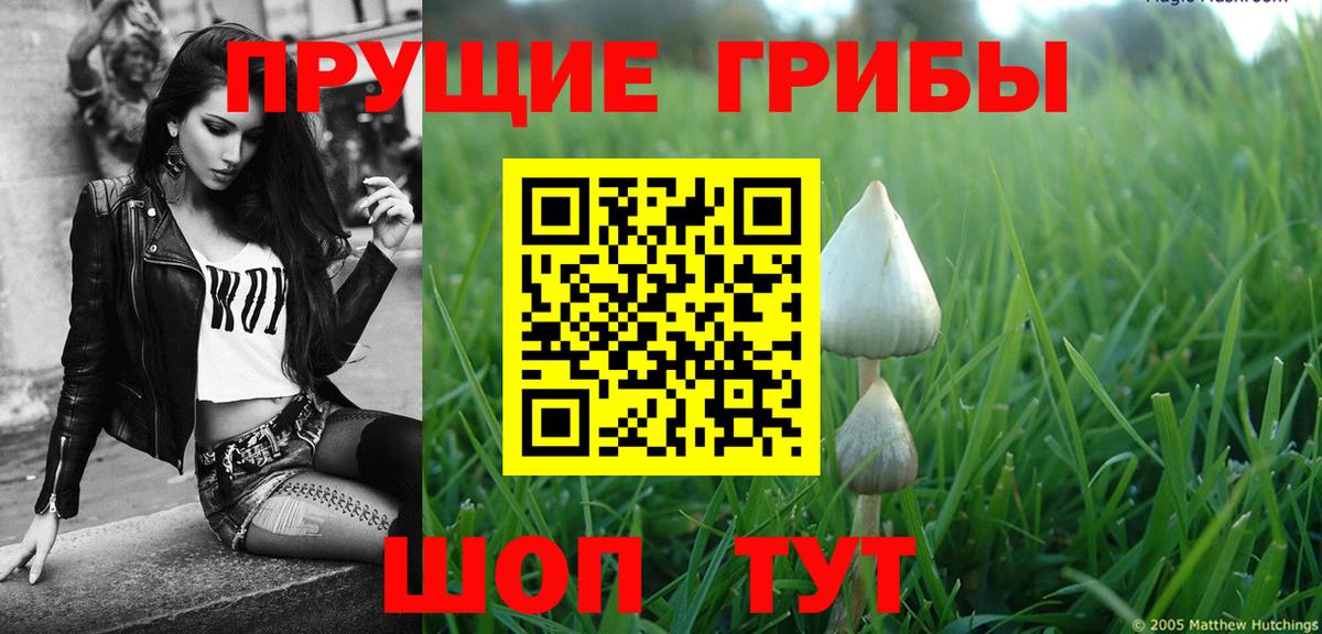 Серпухов  Псилоцибиновые грибы MAGIC MUSHROOMS  Вход с VPN 