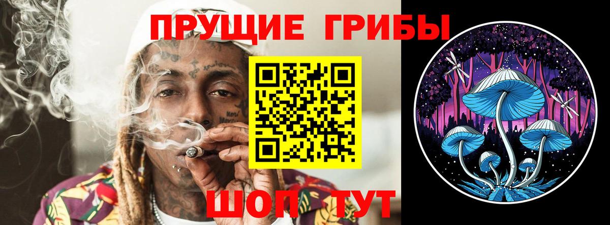Галлюциногенные грибы Cubensis Серпухов